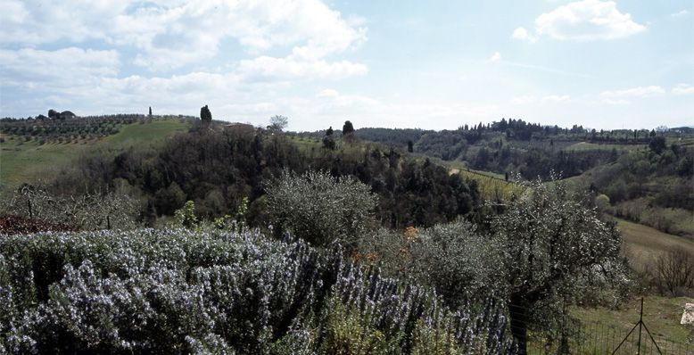 Experiences in Tuscany 7