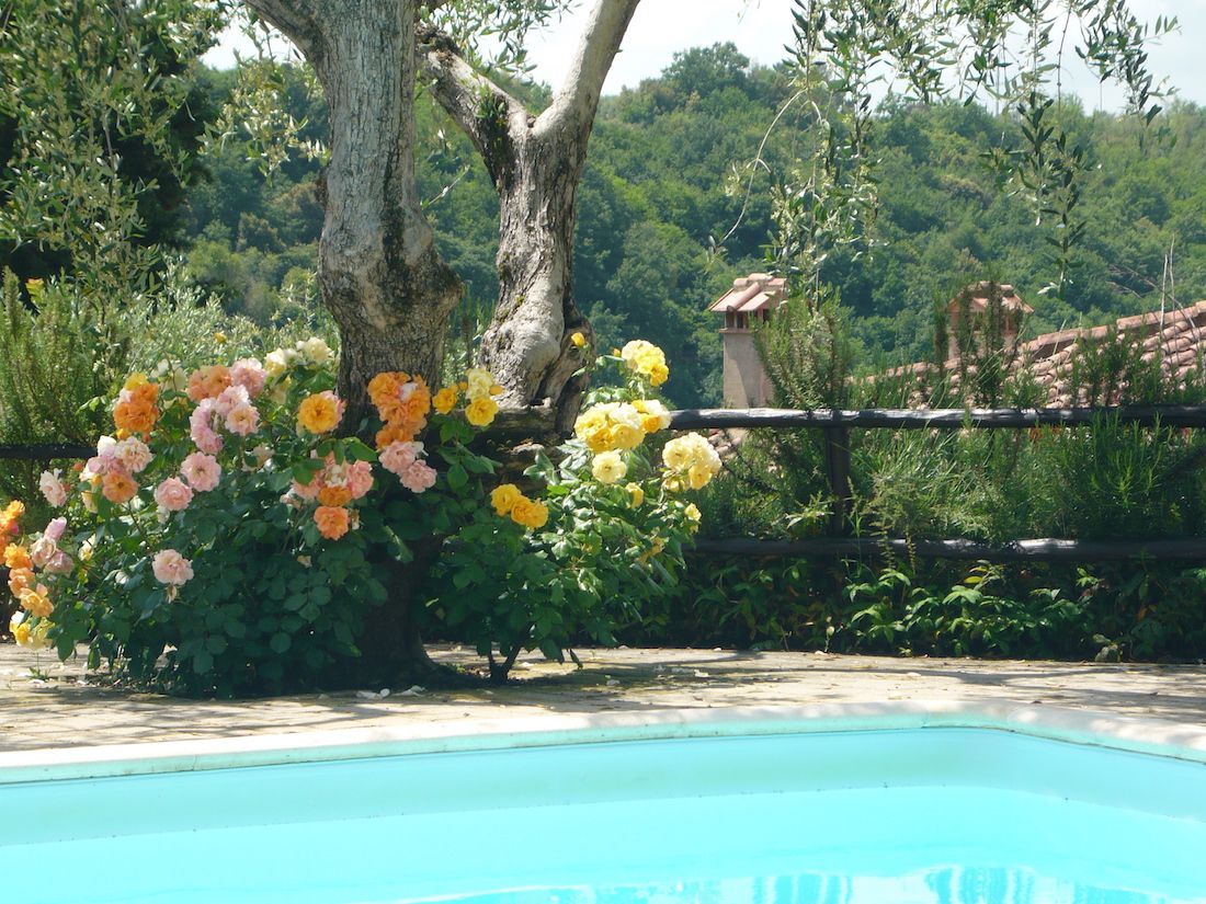 Vacation apartments in Chianti 6