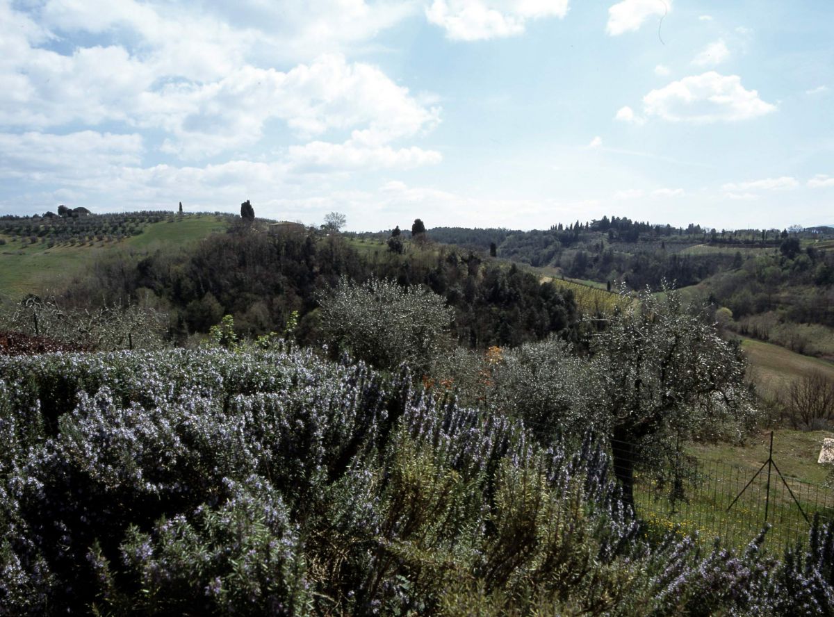 Vacation apartments in Chianti 5