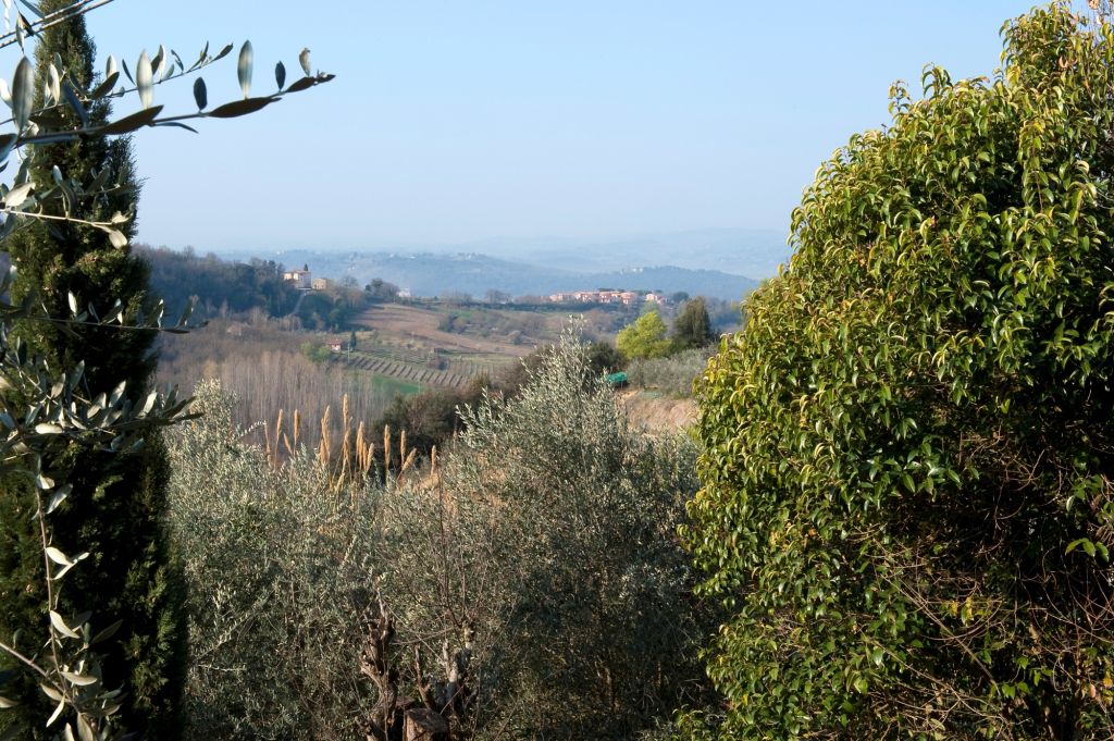 Robin Apartment - Farmhouse with pool in San Gimignano 9